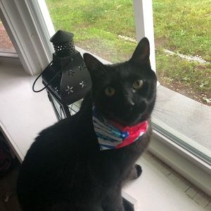 Meet your Posher, Louisa